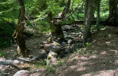 ElatoVillage - Foto 56