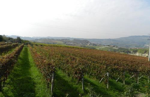 Agriturismo Bianconiglio - Foto 43