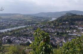 Kalverkamp Ferienwohnung - Foto 39