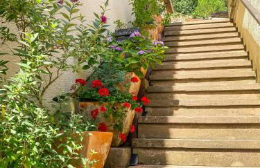 Wanderglück - Naturnah zum Wohlfühlen & Wandern - Foto 12