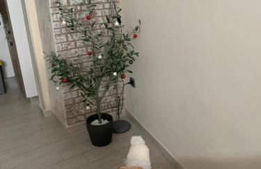 Residenza Marconi vicino Ortigia - Foto 15