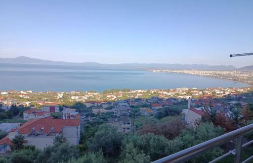 Panorama View - Photo 3