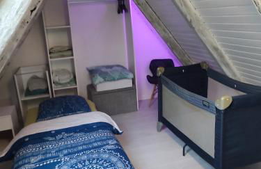 duplex aux portes de Strasbourg tram 100m - Foto 9