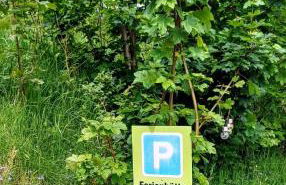 Ferienhütte Ilmtalblick - Foto 20