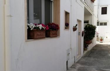 Casa Low Cost - Foto 51