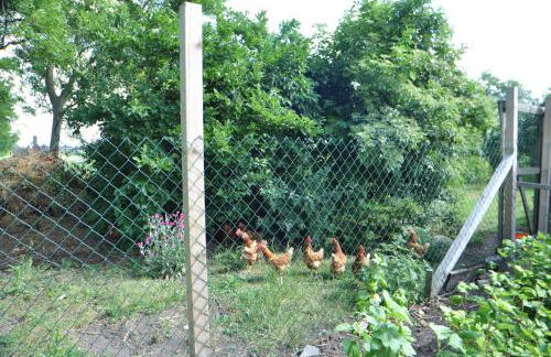 Ferienwohnung Landliebe 65347 - Foto 8