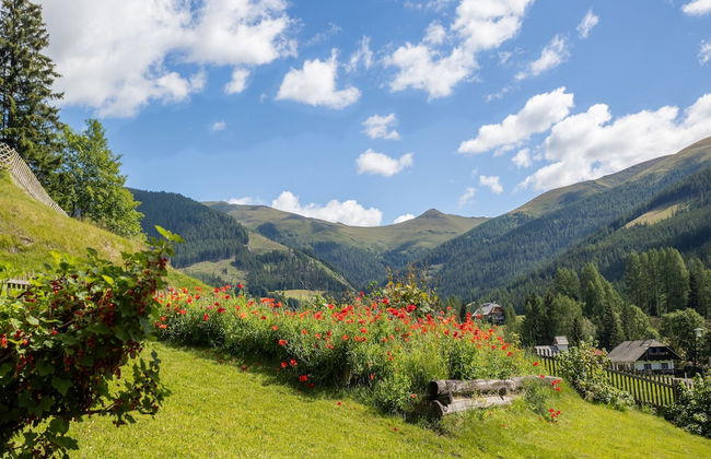 Holiday Home in Bad Kleinkirchheim - Photo 50