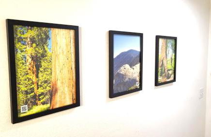 Sequoia Trails, mountains, fun & relax - Foto 9