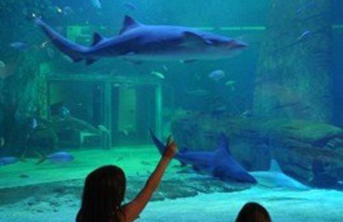 Appartement 2P Cabine proche plage avec garage, lumineux et bien situé au Grau-du-Roi - FR-1-307-136 - Foto 25