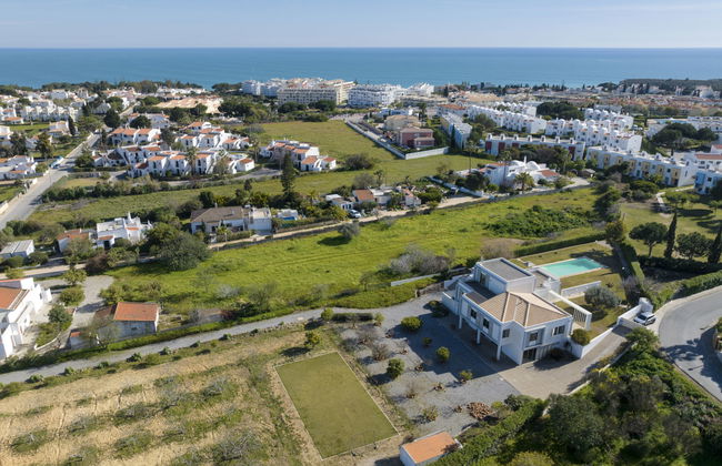 Almond Tree - Foto 29