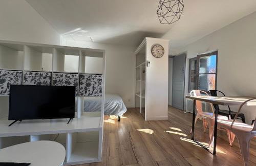 V3 Studio tout confort plein centre 5 min Golfech - Foto 25