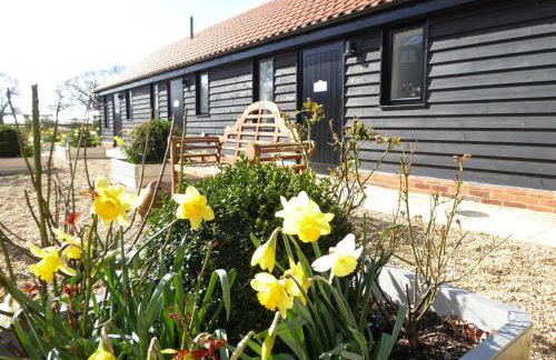 Mollett's Farm - Foto 23