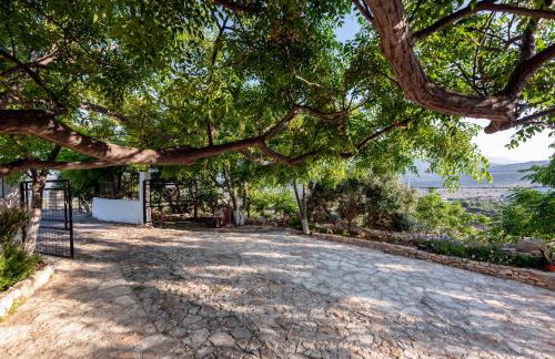 ApteraMare Tradidtional house 'New listing' - Foto 40