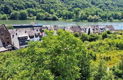 Riesling Appartement for 2 - 4 People - Billiards - Balcony with Mosel View - Parking - Wine Barrel Bar - Fully Equipped Kitchen - Netflix - WaipuTV - 3 km from Cochem - Foto 32