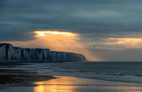 01- Villa La Précieuse en Front de mer - Jardin et Terrasse - Foto 24