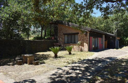 La pietra lavica - Photo 1