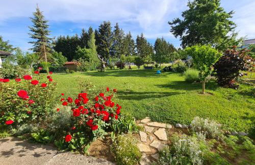Apartman Bepo - Photo 54