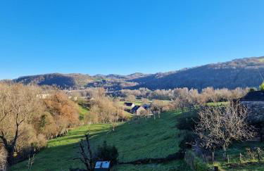 Le Chardon Bleu, jardin, centre-ville, Saint-Côme-d'Olt - Photo 41