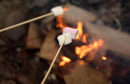 The Galloway Steading - The Stag Hoose family cabin with Hot Tub and Fire Pit - Foto 20