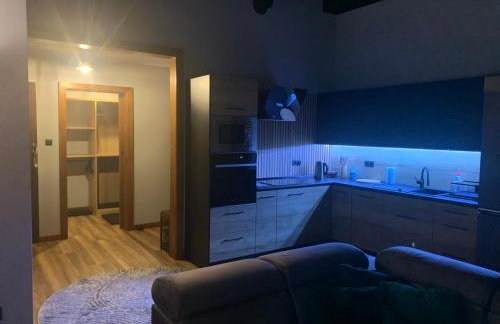 Bulwar Apartament Stare Miasto - Foto 22