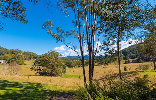 Friday Creek Retreat - Photo 77