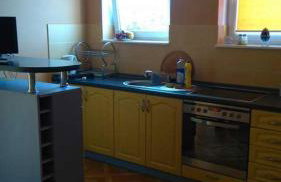 Gospodarstwo Agroturystyczne Leśna Polanka - Foto 1