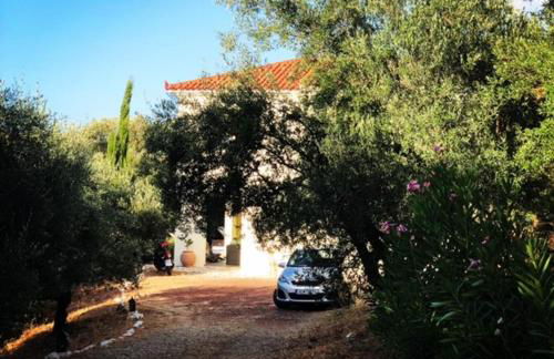 Kyparissia De Wandelboom - Foto 23