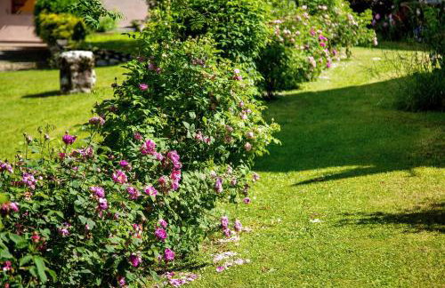 Orserose Chalet 1 La Bilancia - Foto 11