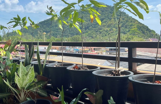 The Atnal Lanta - Foto 52