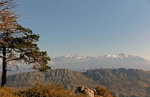 LOFT NORDESTE - Foto 27