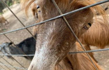 Infinity Wellness Apartment Hotel - Foto 78