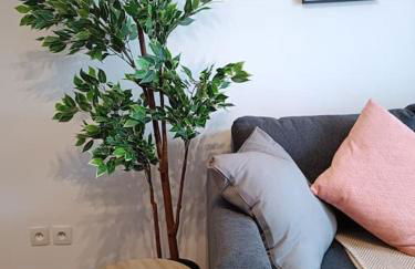 T3 Lumineux - Berges de la Garonne - Parking - Photo 11