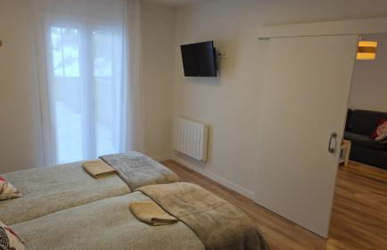 Apartamentos Leyre Candanchú - Photo 21