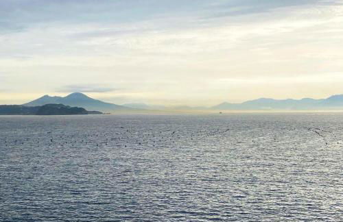 LA VILLA AURELIA - Foto 55