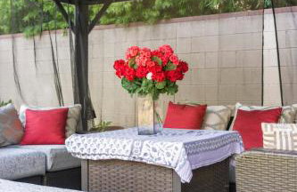 Cute Studio with AC and Backyard - Foto 26