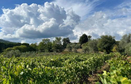 All'Ombra Del Tiglio - Foto 73