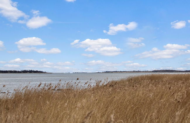 "Bendine" - 100m to the fjord - Foto 24