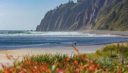 Beach Bungalow - Foto 5