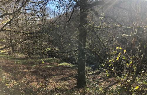 A Casa do Chico - Foto 11