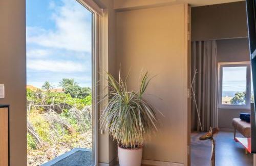 Doca Seca & Casca de Uva - Foto 20