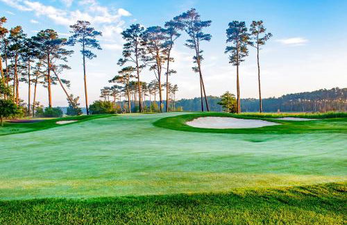 Bayside Resort --- 36288 Sunflower Blvd - Foto 33