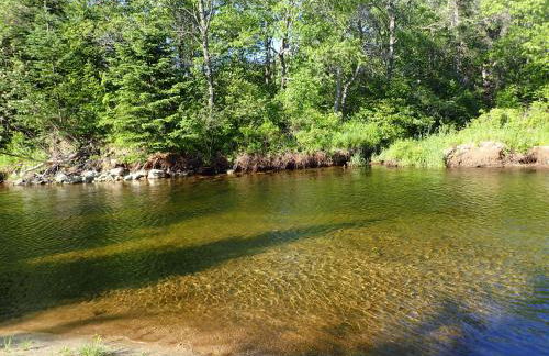 1800ML - As Seen on TV 1 mile from skiing great views hot tub fire pit beach Pool gym passes - Foto 64