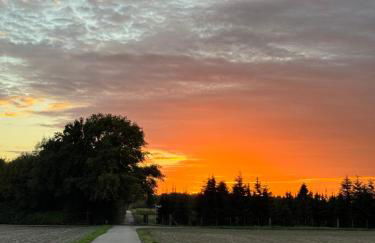 Beim Goldenen Dackel -Atelierhaus im Hof - Foto 44