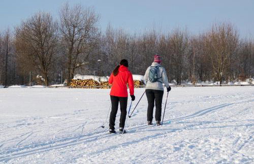 Galerie-Ferienwohnung "Im Schindlershof" - zentral und ruhig - Foto 31