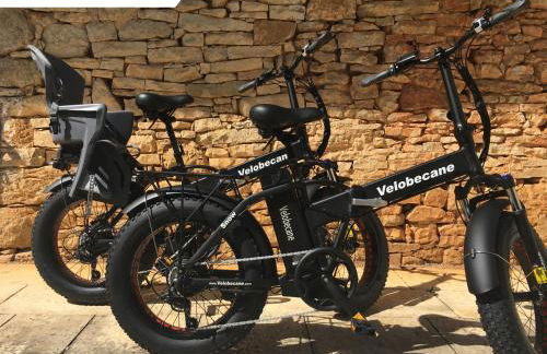 Gîte Dordogne Périgord - Foto 21