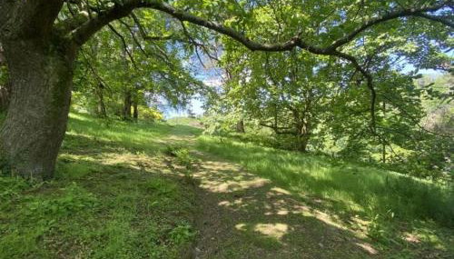 Hansel Cottage - Foto 4, Garden, Garden view