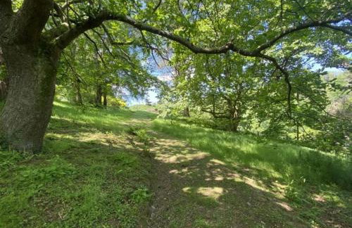 Hansel Cottage - Foto 4