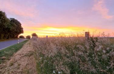 Steewer Landhaus gemütliche Ferienwohnung bis 6 Pers in ruhiger Ortsrandlage - Foto 60