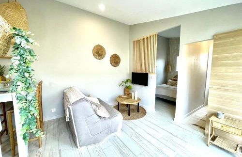 Studio Piscine Balnéo Chauffée - Foto 6