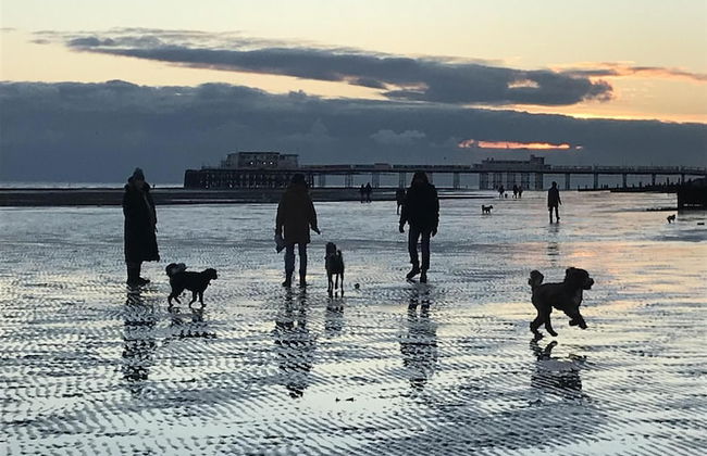 Foresters Cottage - Foto 31